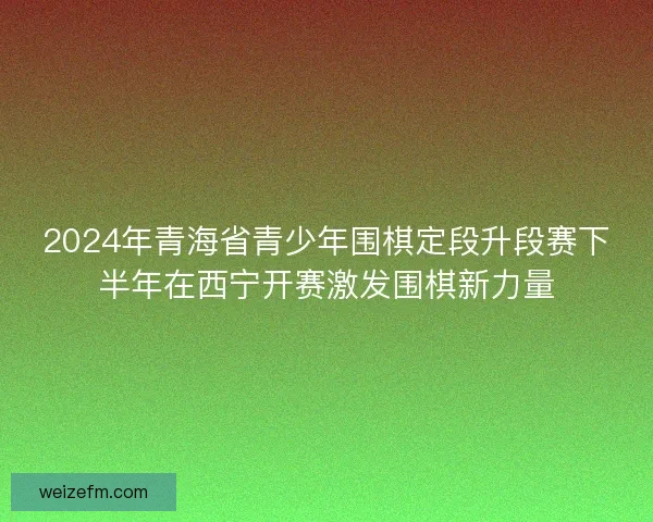 2024年青海省青少年围棋定段升段赛下半年在西宁开赛激发围棋新力量