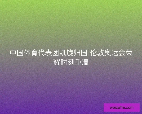 中国体育代表团凯旋归国 伦敦奥运会荣耀时刻重温