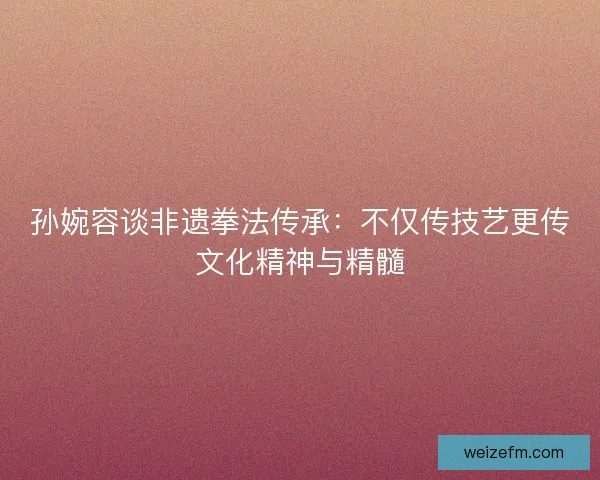孙婉容谈非遗拳法传承：不仅传技艺更传文化精神与精髓
