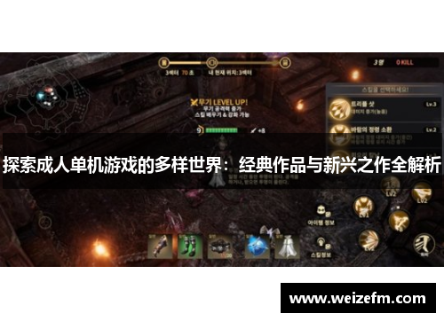 探索成人单机游戏的多样世界：经典作品与新兴之作全解析