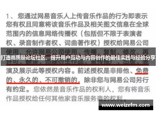 打造高质量论坛社区，提升用户互动与内容创作的最佳实践与经验分享