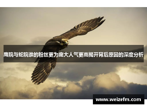 鹰院与蛇院谁的粉丝更为庞大人气更高揭开背后原因的深度分析