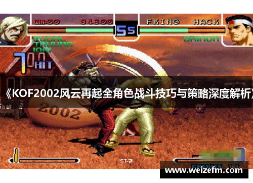 《KOF2002风云再起全角色战斗技巧与策略深度解析》